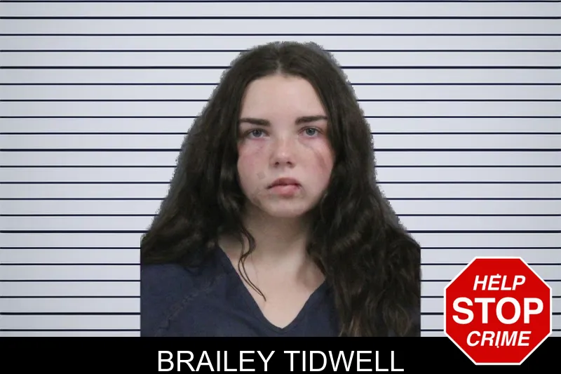Brailey Tidwell mugshot – Catoosa County , Georgia Brailey Tidwell mugshot