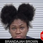 Brandajah Brown mugshot