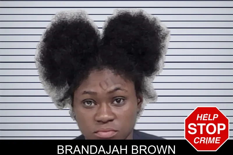 Brandajah Brown mugshot – Lowndes County , Georgia Brandajah Brown mugshot