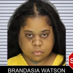 Brandasia Watson mugshot – Cobb County , Georgia Brandasia Watson mugshot