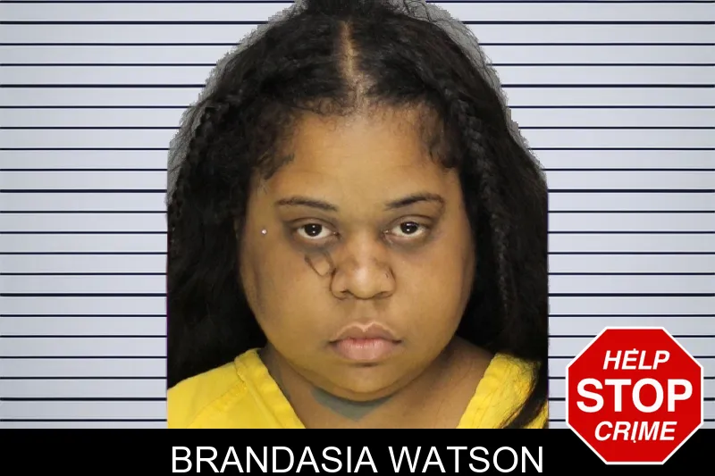 Brandasia Watson mugshot – Cobb County , Georgia Brandasia Watson mugshot