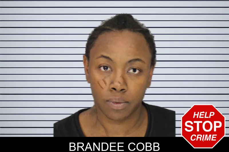 Brandee Cobb mugshot