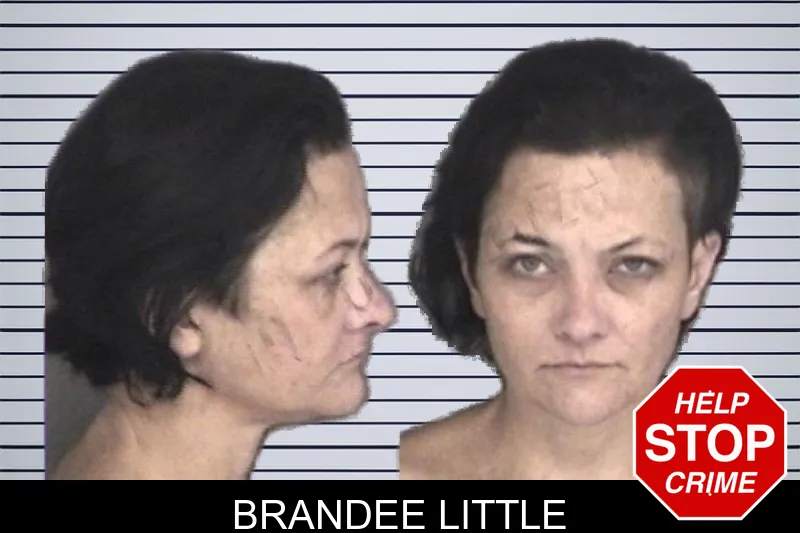 Brandee Little mugshot