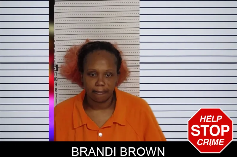 Brandi Brown mugshot – Rockdale County , Georgia Brandi Brown mugshot
