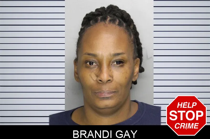 Brandi Gay mugshot