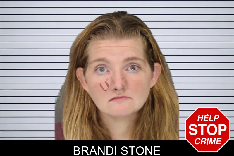 Brandi Stone mugshot – Cobb County , Georgia Brandi Stone mugshot