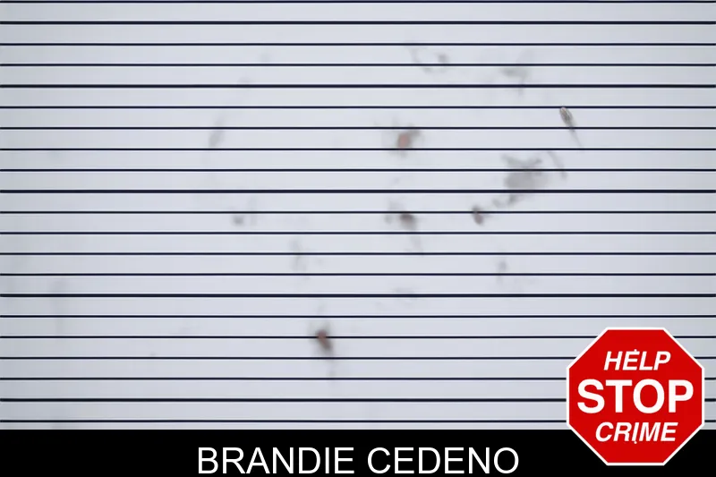 Brandie Cedeno mugshot – Henry County , Georgia Brandie Cedeno mugshot