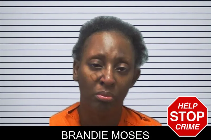 Brandie Moses mugshot – Cherokee County , Georgia Brandie Moses mugshot