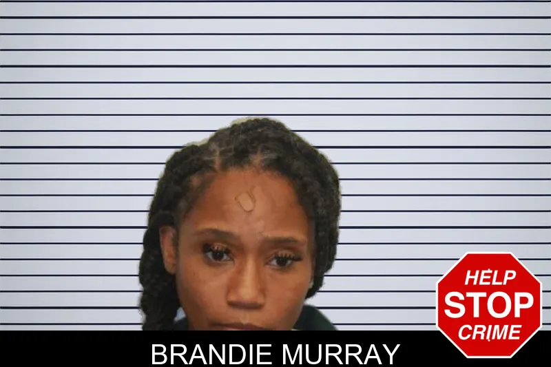 Brandie Murray mugshot – Chatham County , Georgia Brandie Murray mugshot