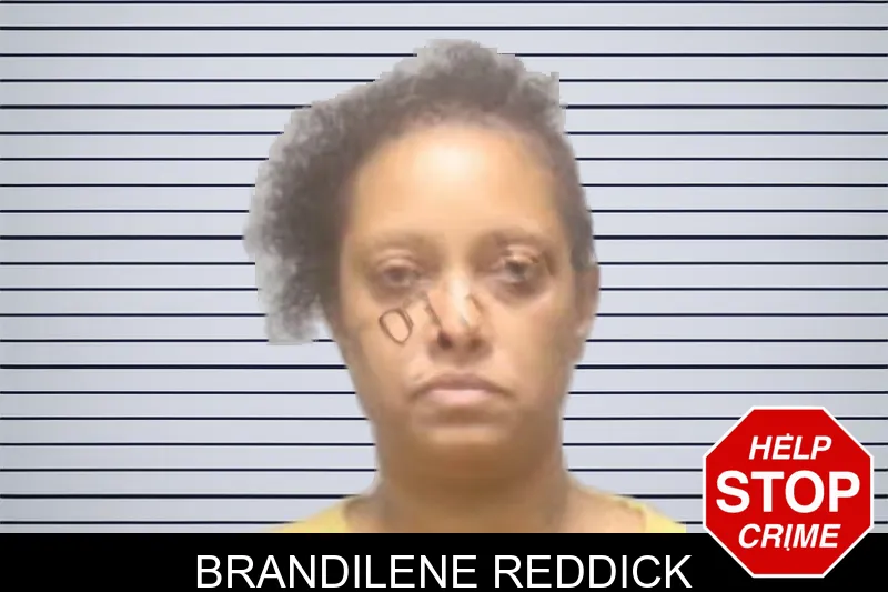 Brandilene Reddick mugshot – Muscogee County , Georgia Brandilene Reddick mugshot