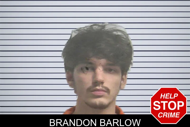 Brandon Barlow mugshot – Colquitt County , Georgia Brandon Barlow mugshot