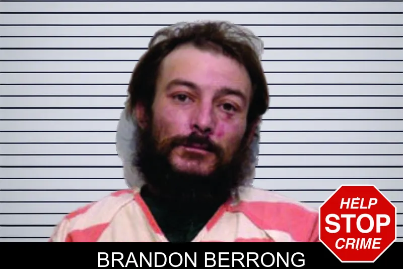 Brandon Berrong mugshot