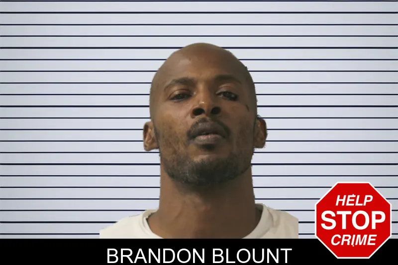 Brandon Blount mugshot – Toombs County , Georgia Brandon Blount mugshot