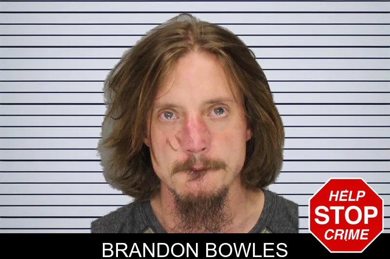 Brandon Bowles mugshot – Cobb County , Georgia Brandon Bowles mugshot