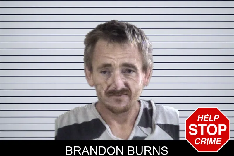 Brandon Burns mugshot