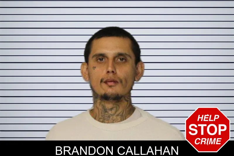Brandon Callahan mugshot – Hall County , Georgia Brandon Callahan mugshot
