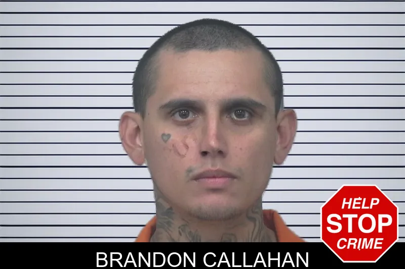 Brandon Callahan mugshot – Gwinnett County , Georgia Brandon Callahan mugshot