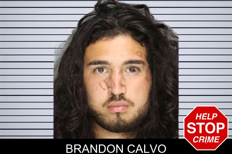Brandon Calvo mugshot – Cobb County , Georgia Brandon Calvo mugshot