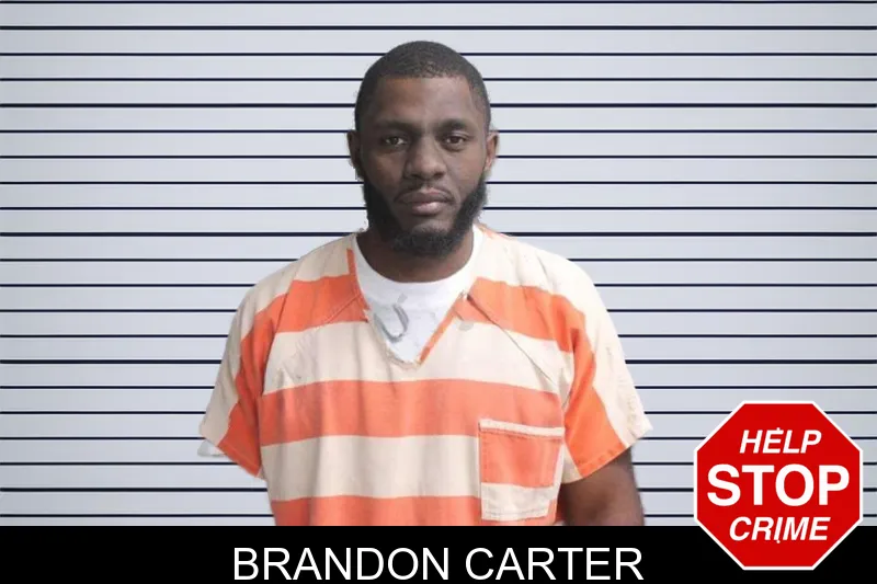 Brandon Carter mugshot