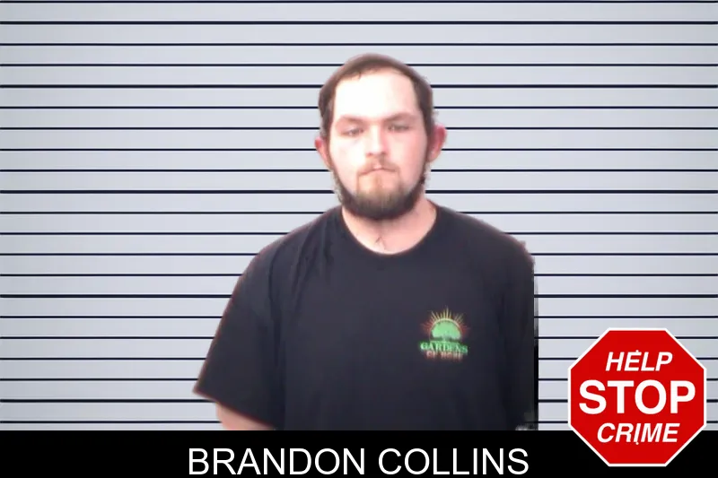 Brandon Collins mugshot