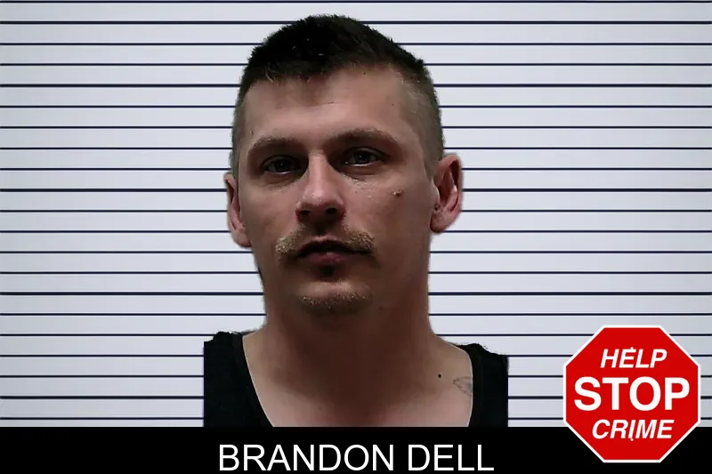 Brandon Dell mugshot – Towns County , Georgia Brandon Dell mugshot