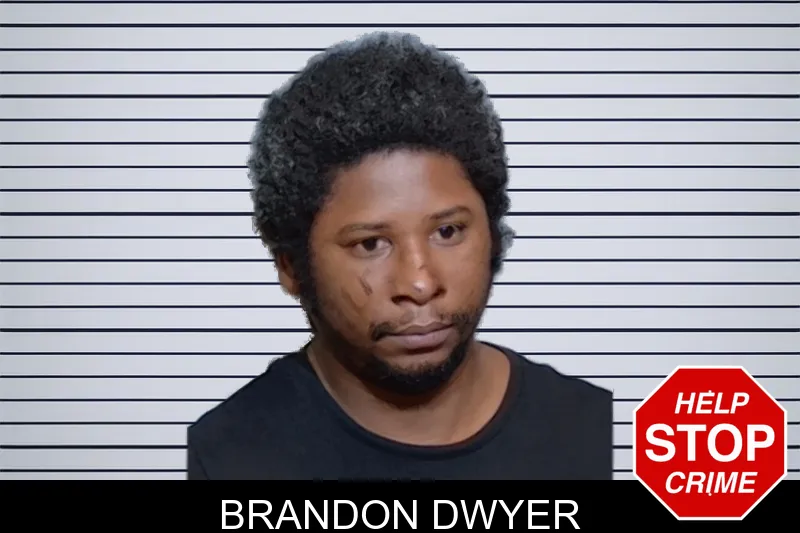 Brandon Dwyer mugshot – Glynn County , Georgia Brandon Dwyer mugshot