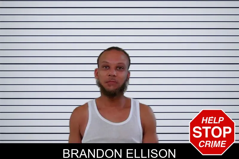Brandon Ellison mugshot – Liberty County , Georgia Brandon Ellison mugshot