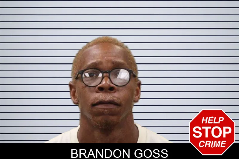 Brandon Goss mugshot