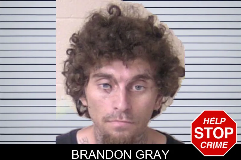 Brandon Gray mugshot – Walker County , Georgia Brandon Gray mugshot