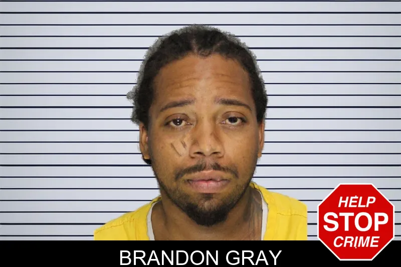 Brandon Gray mugshot