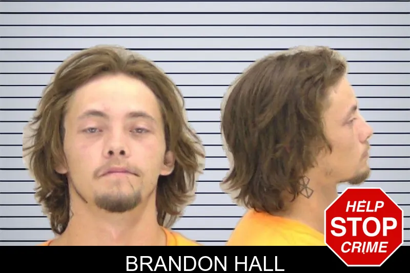 Brandon Hall mugshot