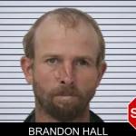 Brandon Hall mugshot – Mcintosh County , Georgia Brandon Hall mugshot