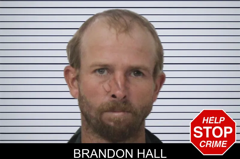 Brandon Hall mugshot