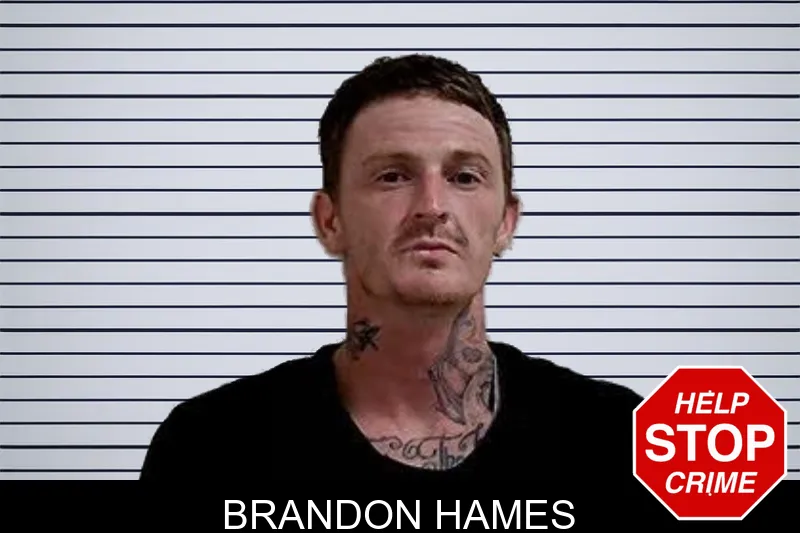 Brandon Hames mugshot – Decatur County , Georgia Brandon Hames mugshot