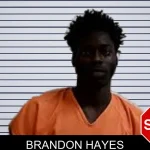 Brandon Hayes mugshot