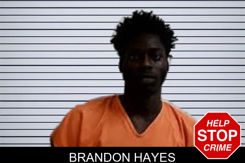 Brandon Hayes mugshot – Decatur County , Georgia Brandon Hayes mugshot