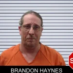 Brandon Haynes mugshot