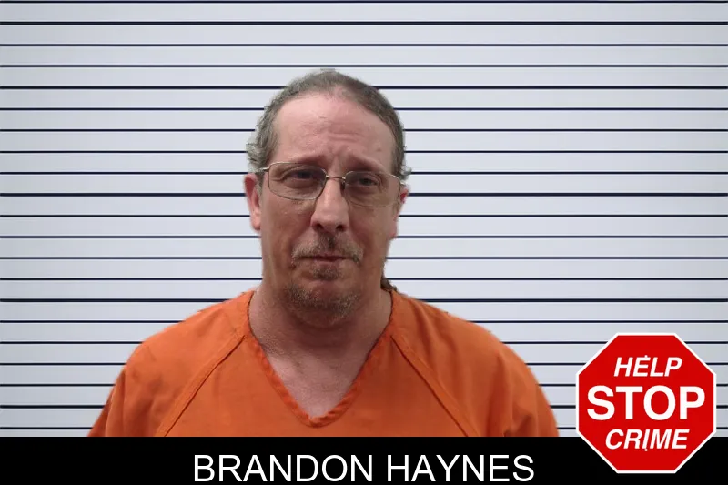 Brandon Haynes mugshot – Pickens County , Georgia Brandon Haynes mugshot