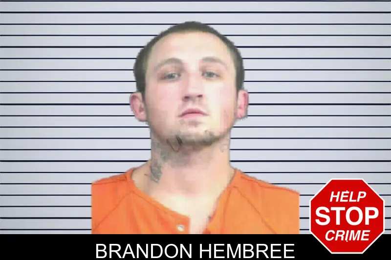 Brandon Hembree mugshot – Mitchell County , Georgia Brandon Hembree mugshot