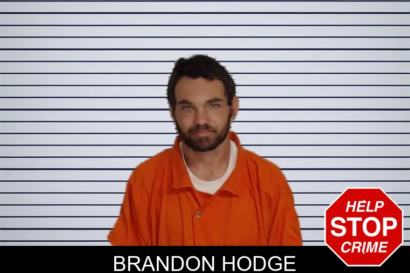 Brandon Hodge mugshot