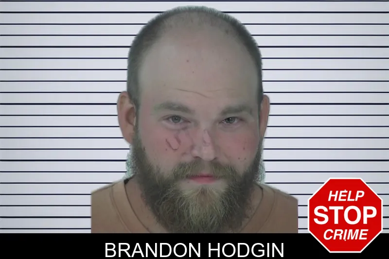Brandon Hodgin mugshot