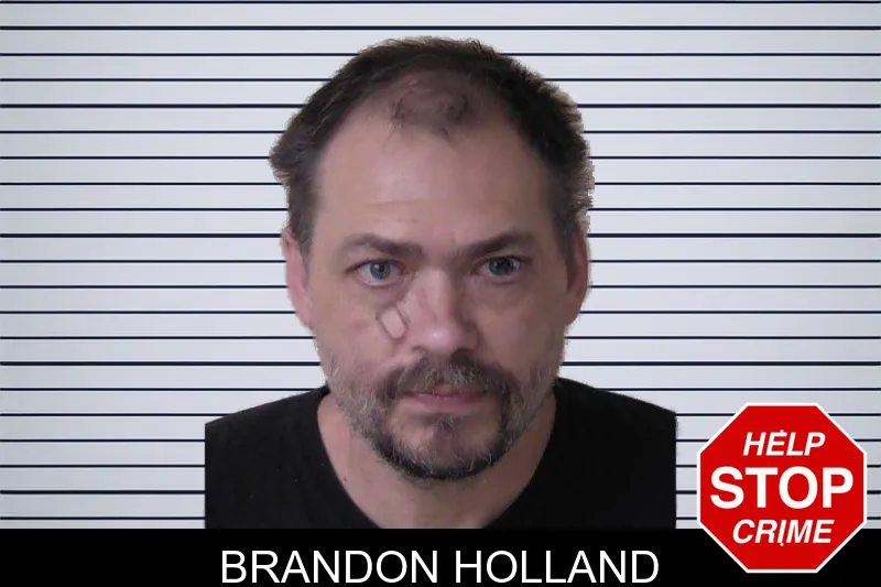 Brandon Holland mugshot – Walker County , Georgia Brandon Holland mugshot
