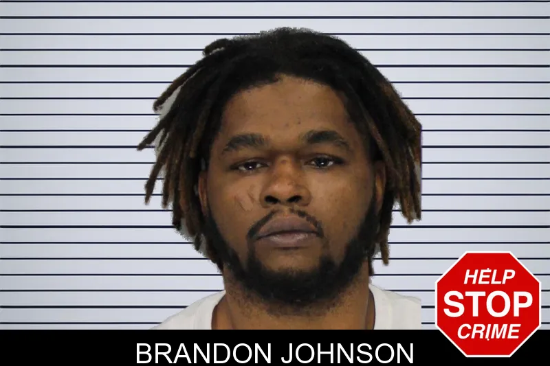 Brandon Johnson mugshot