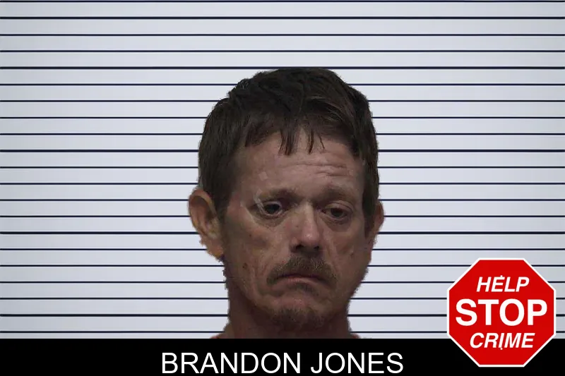 Brandon Jones mugshot – Laurens County , Georgia Brandon Jones mugshot