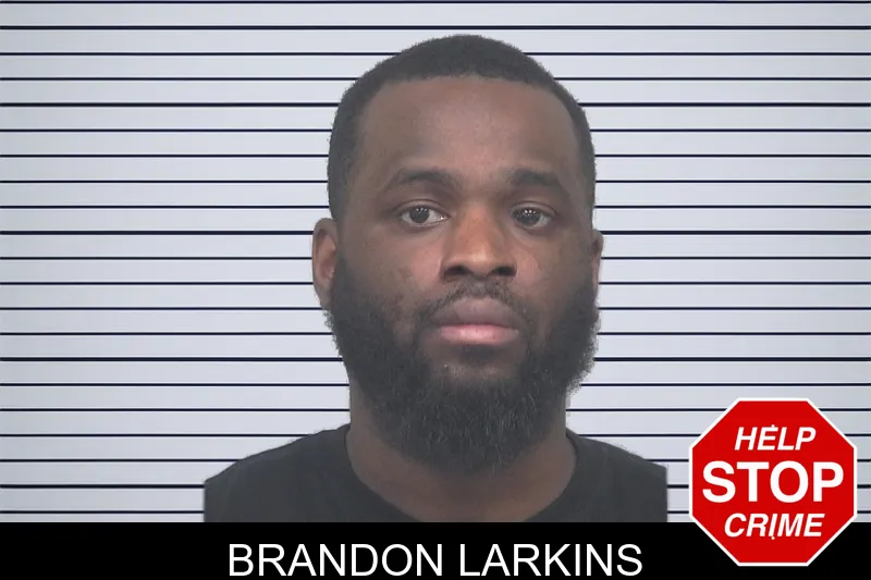 Brandon Larkins mugshot