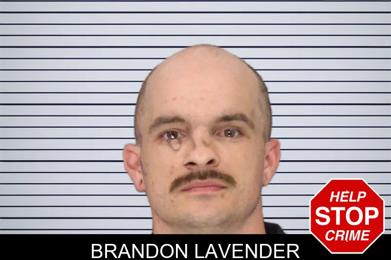 Brandon Lavender mugshot