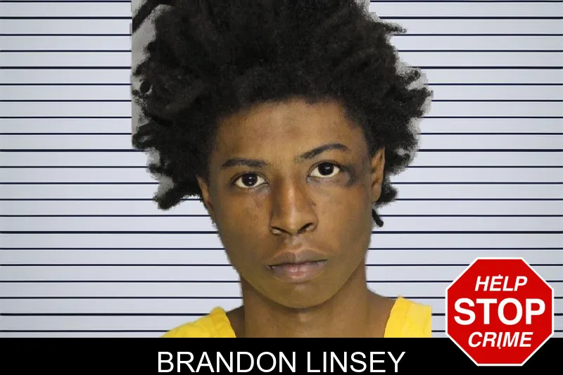 Brandon Linsey mugshot – Cobb County , Georgia Brandon Linsey mugshot