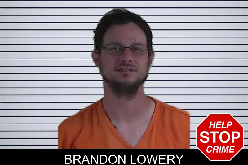 Brandon Lowery mugshot – Fannin County , Georgia Brandon Lowery mugshot
