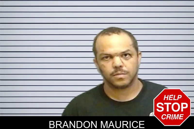 Brandon Maurice mugshot