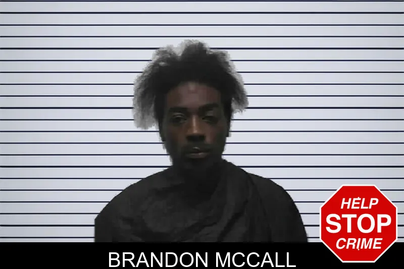 Brandon McCall mugshot